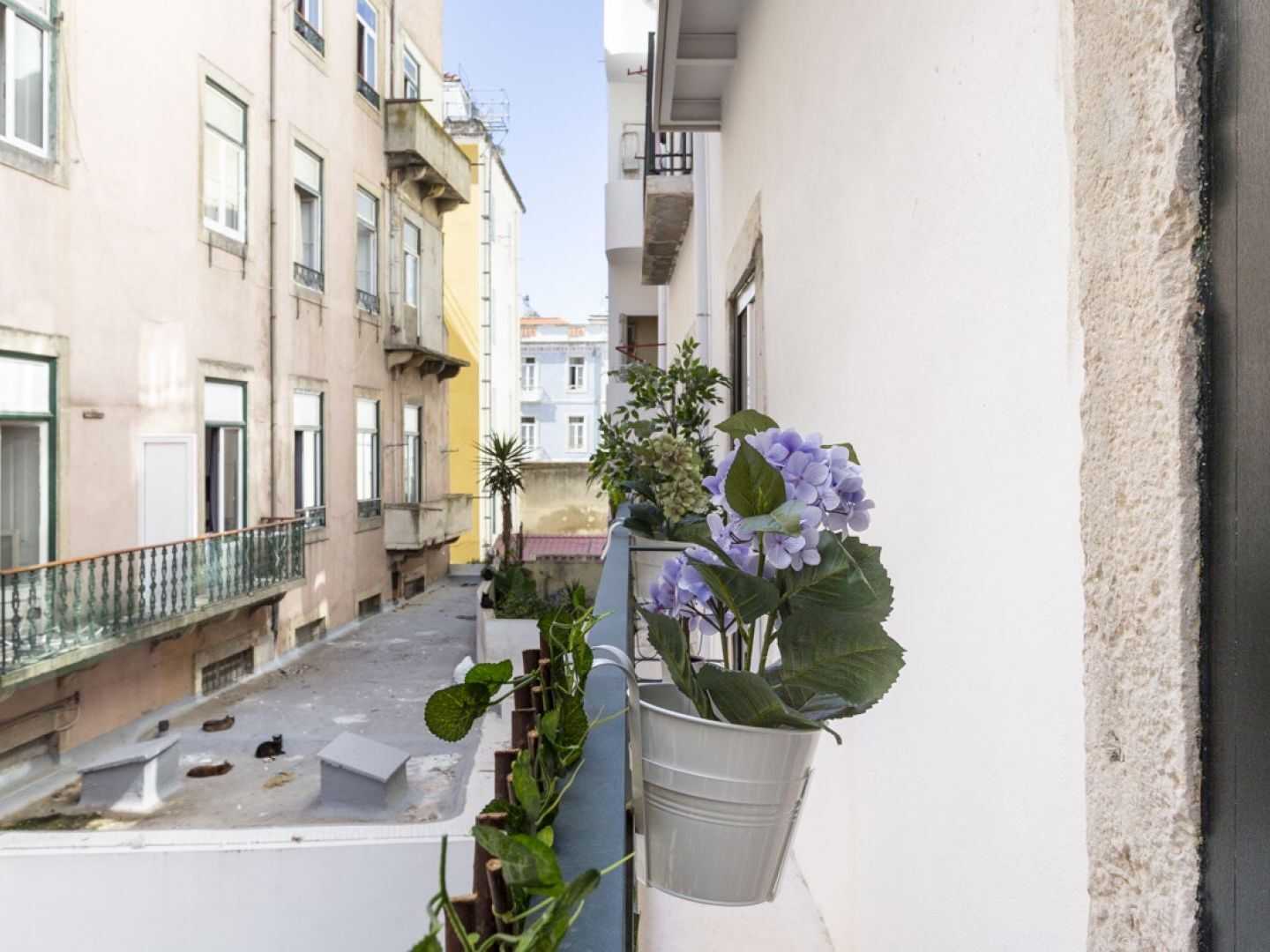 Altido Chic 1br Apt With Balcony Close By Graca Viewpoint And Tram Stops Lissabon
